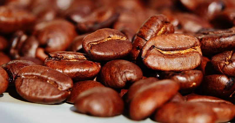 Négocier avec un fournisseur de café en grains : le guide pour revendeurs