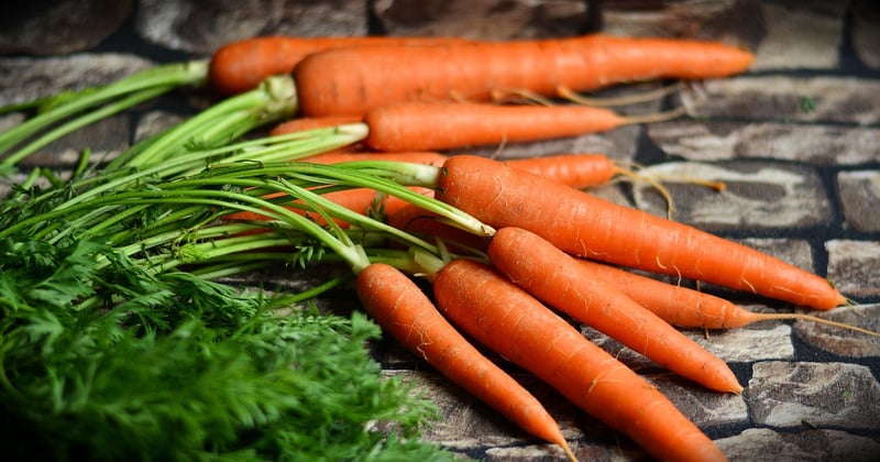 Certifications qualité pour importateur de produits de santé : le guide complet