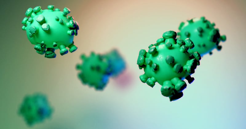 Vaccin contre la grippe aviaire : la nouvelle arme qui change la donne